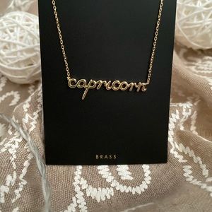 Zodiac sign necklace (Capricorn)